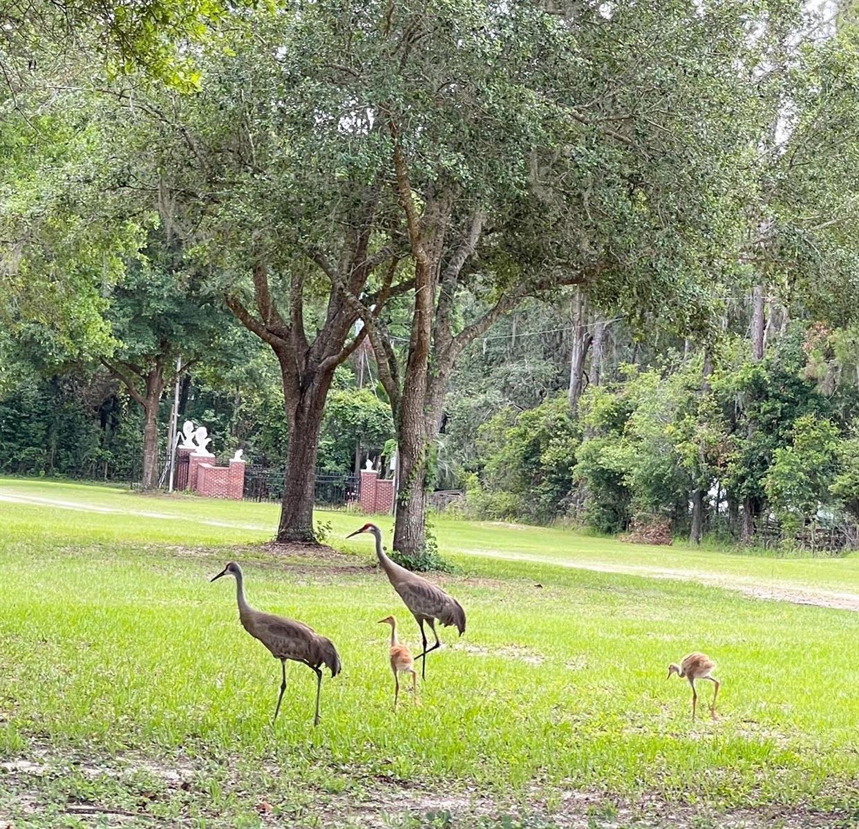 LAKEVIEW XINGS-PH 3 - Land