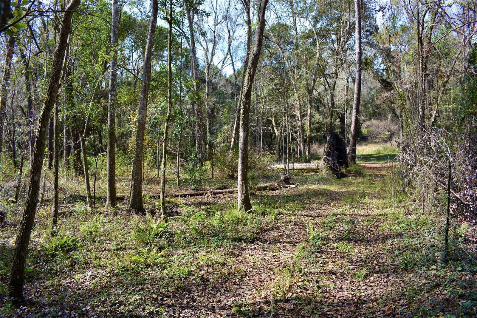 LAKEVIEW XINGS-PH 3 - Land