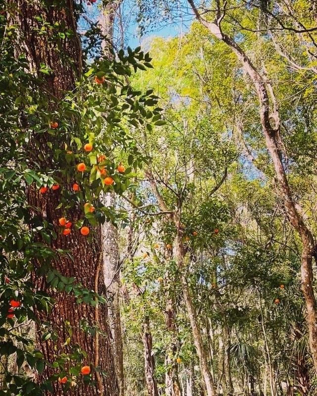 LAKEVIEW XINGS-PH 3 - Land