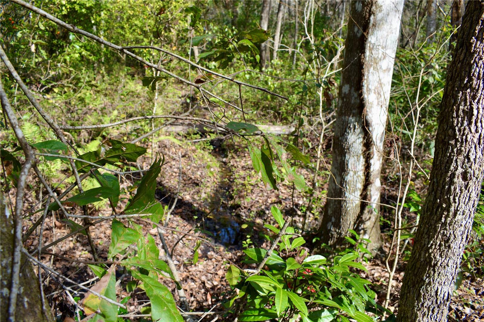 LAKEVIEW XINGS-PH 3 - Land