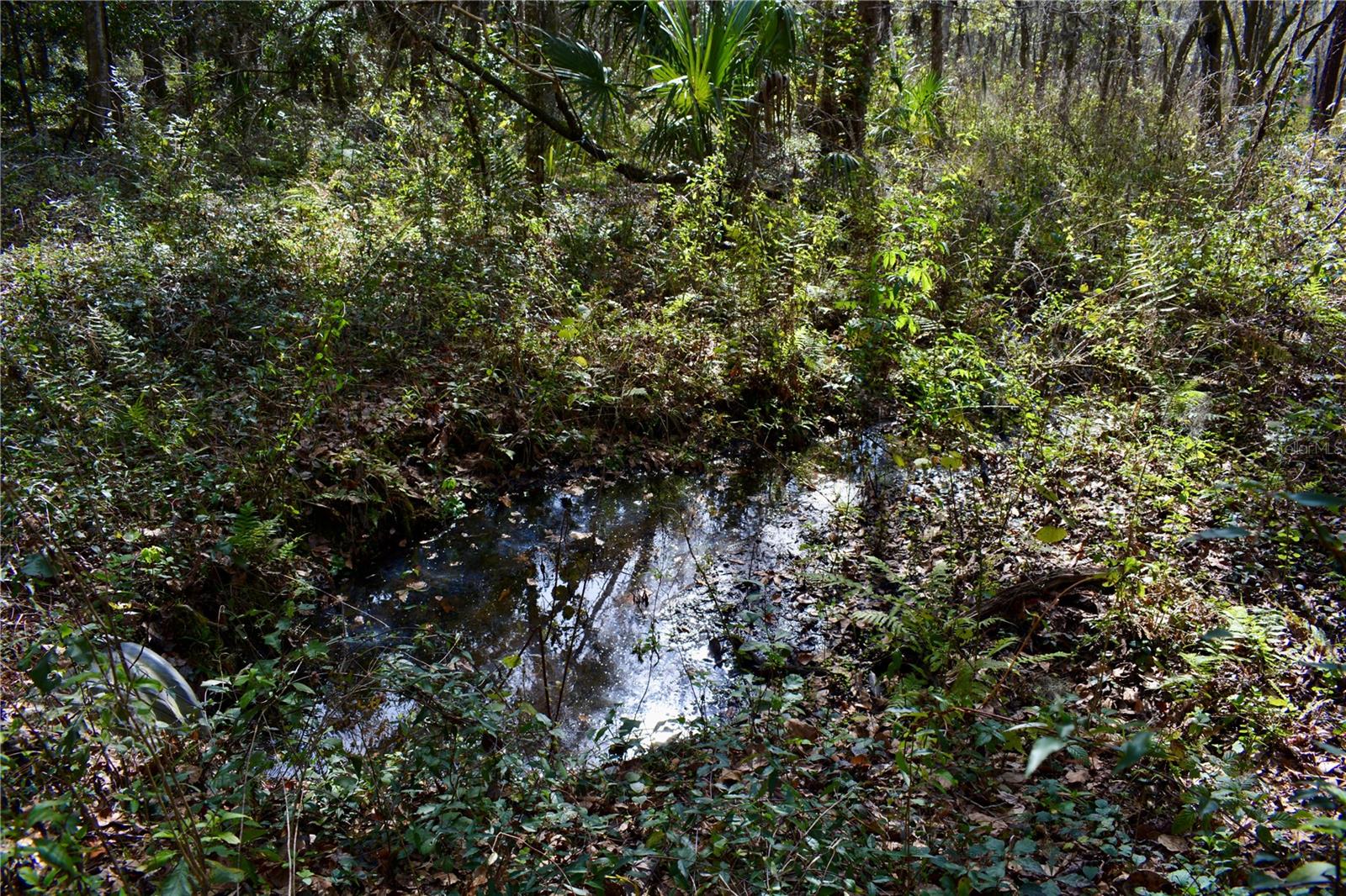 LAKEVIEW XINGS-PH 3 - Land