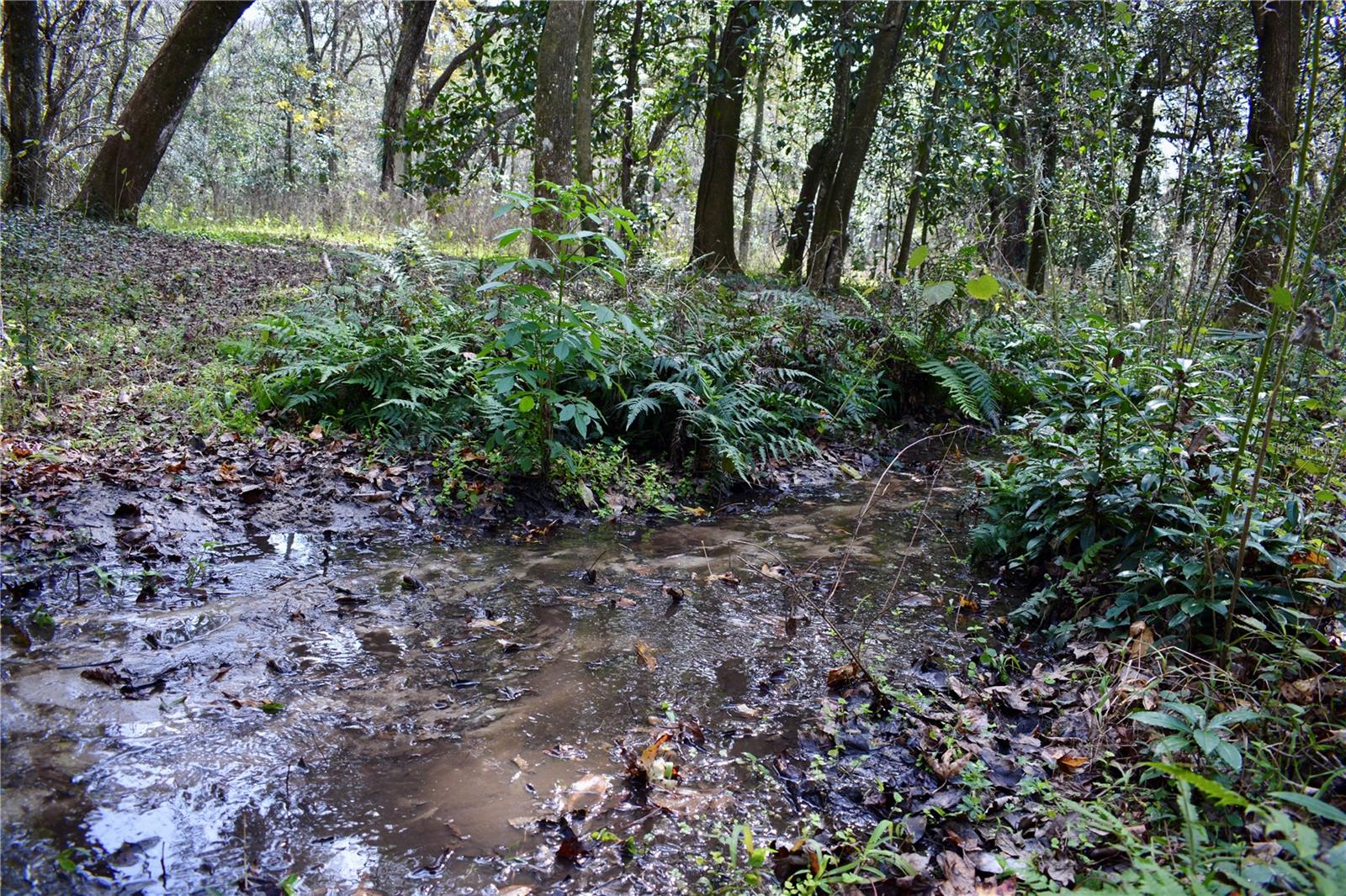 LAKEVIEW XINGS-PH 3 - Land