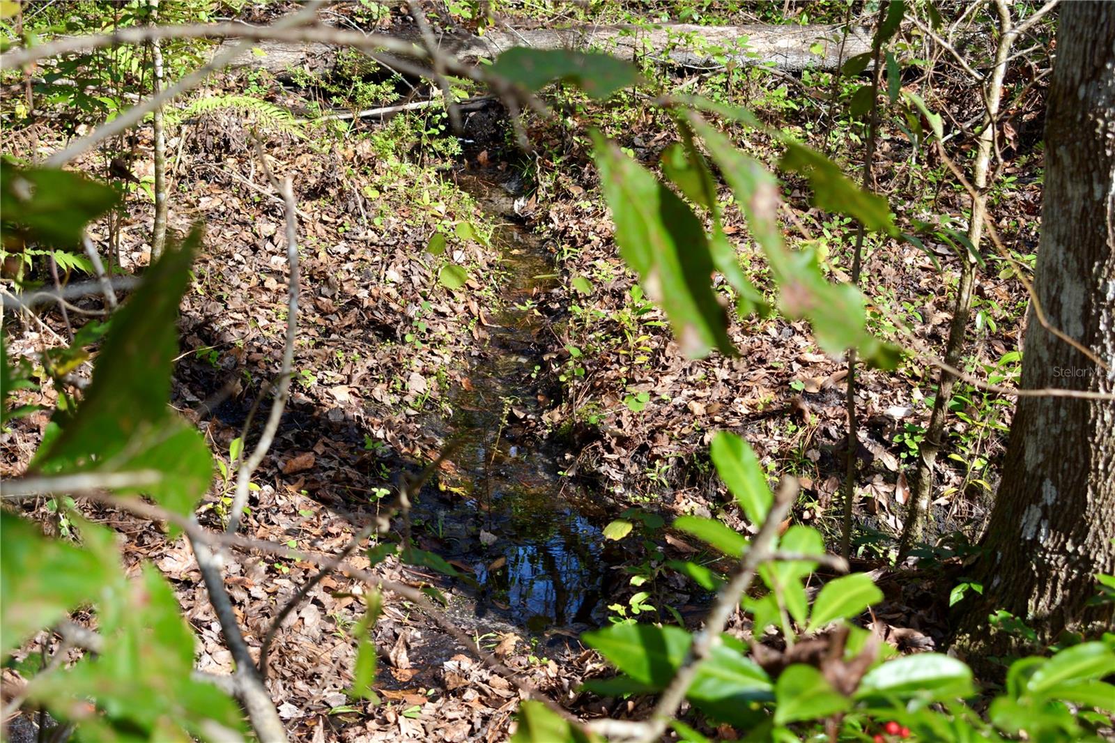 LAKEVIEW XINGS-PH 3 - Land