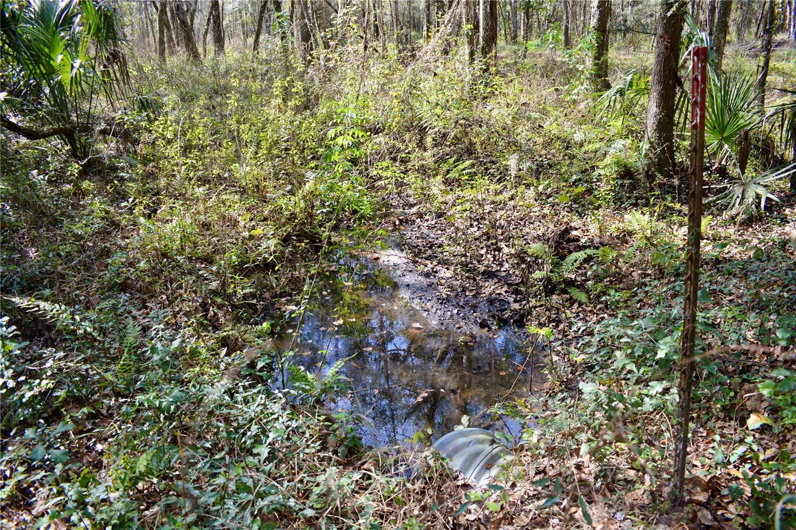 LAKEVIEW XINGS-PH 3 - Land