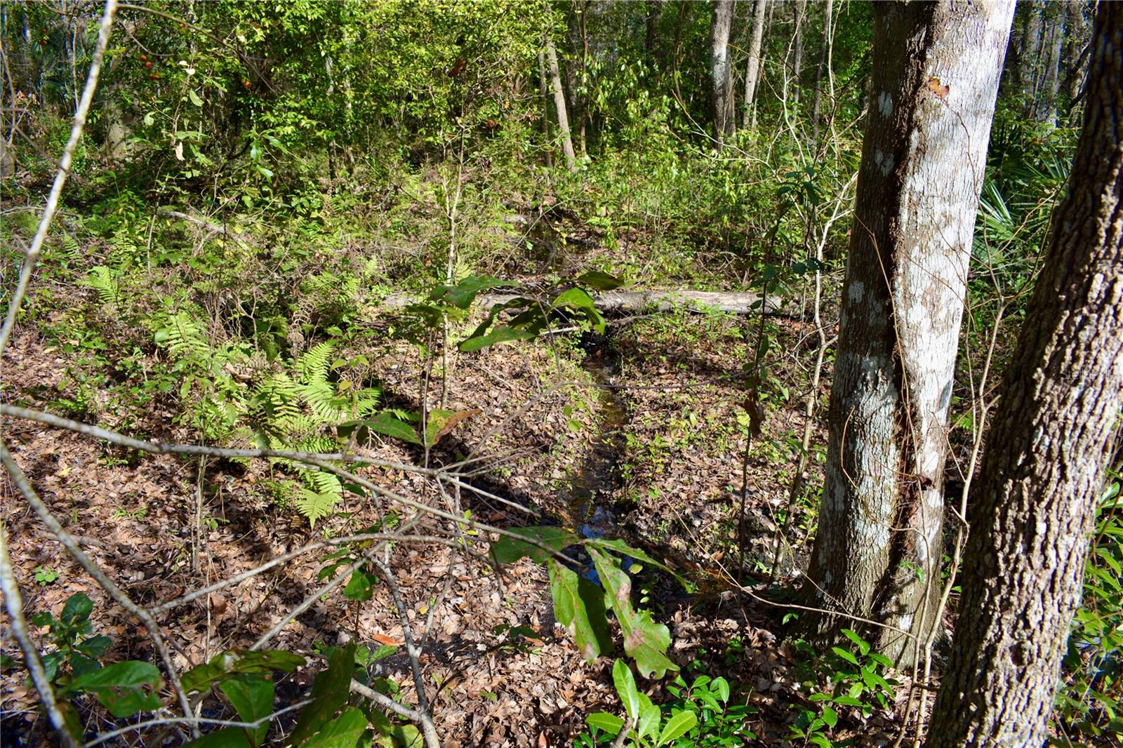 LAKEVIEW XINGS-PH 3 - Land