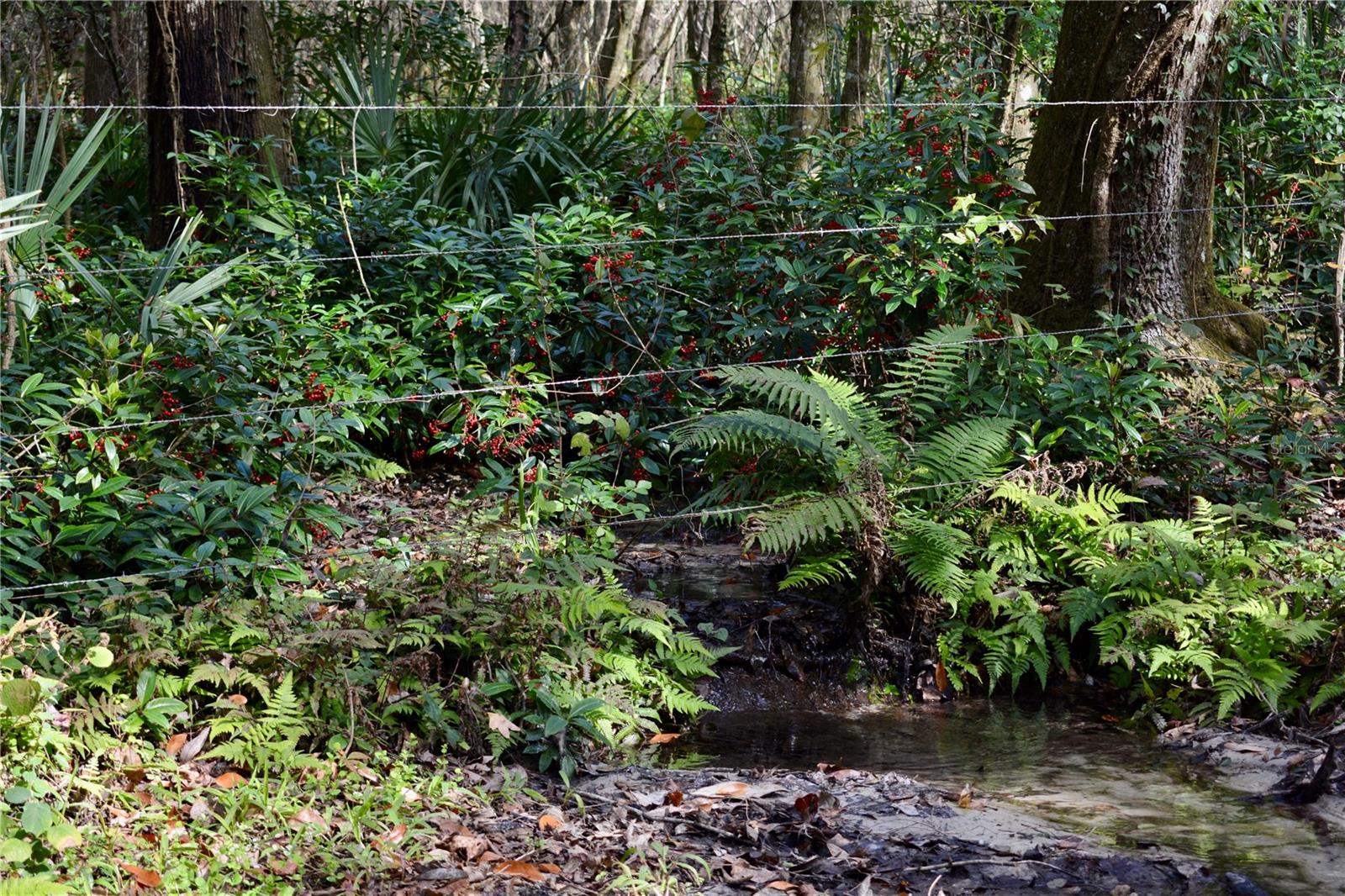 LAKEVIEW XINGS-PH 3 - Land