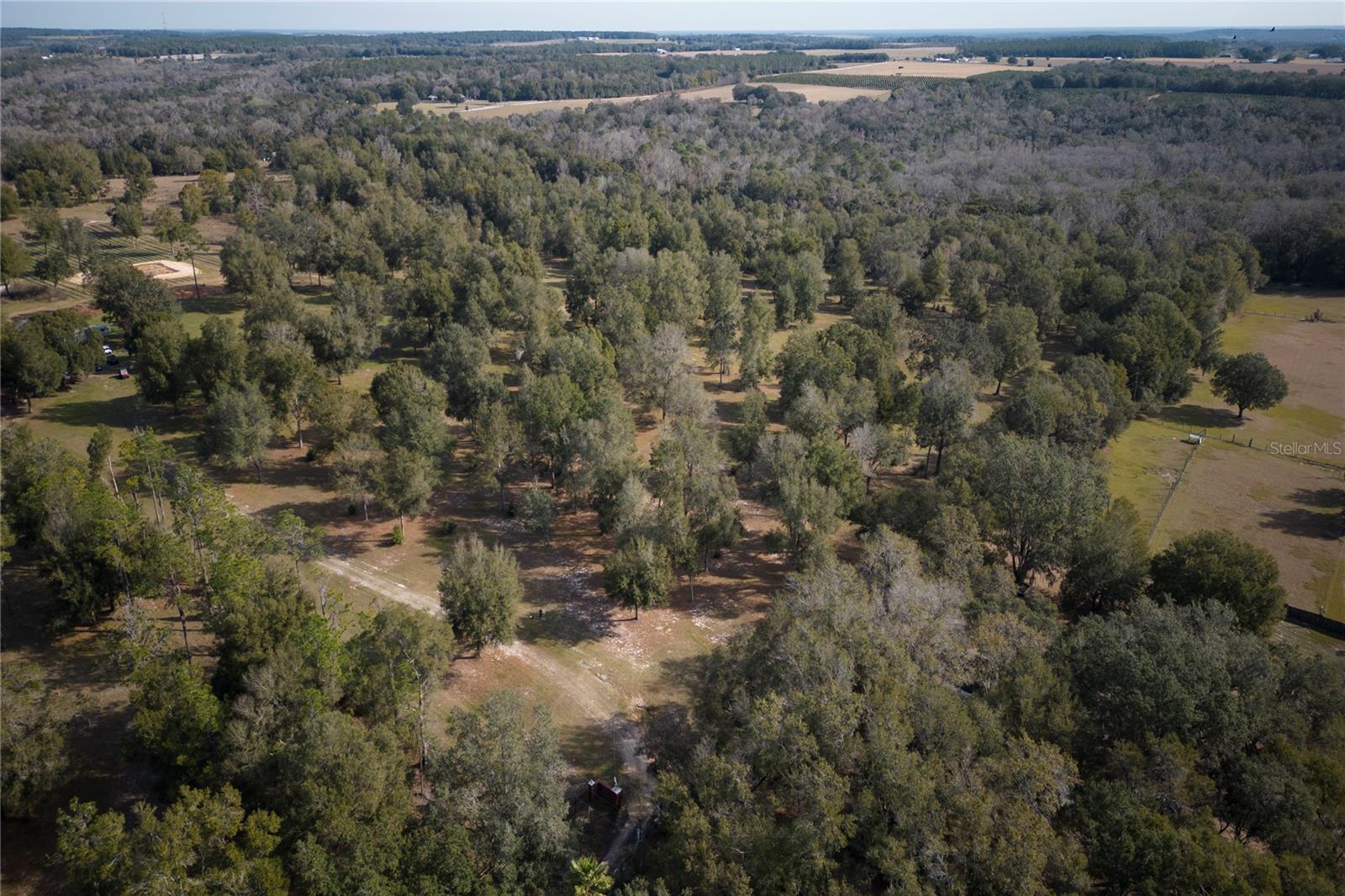 If space is what you're looking for here you go 107 acres of pasture land, woods and wetlands. Parcel 1: 15-24-20-0000-00100-0170 (40.80 Acres)Flood zone X & AE. Parcel 2: 15-24-20-0000-00100-0093 (40.03 Acres) Flood Zone X. Parcel
3:15-24-20-0000-00100-0094 (26.98 Acres.) Flood Zone X. Build your dream home, bring your farm animals and your all terrain vehicles or enjoy the openness as the property is Zoned AR-5 Agricultural Residential (1 home per 5 acres.) You can also build your own gun range with a minimum of 10 acres. Take advantage of the open space, beautiful views with an elevation over 200 ft. The perimeter of the property is all fenced and the property comes with 1-6” well. This is currently Greenbelted with cattle, 17 acres of the 107 acres are Wetlands. There is a utility easement for ingress and egress that runs from Reed Rd all the way to Amberlea Rd. Minutes from Dade City, Brooksville, and I-75. 35 minute drive to Tampa, 45 minute drive to Tampa International Airport.
