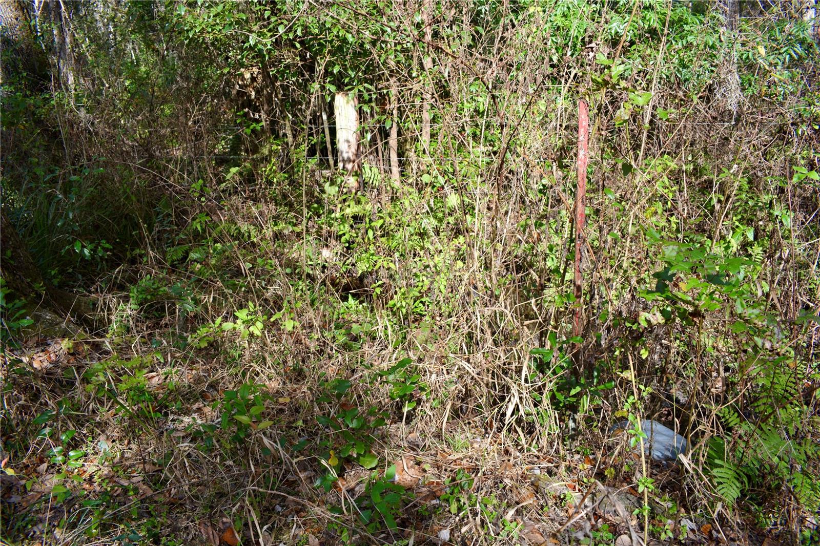 LAKEVIEW XINGS-PH 3 - Land