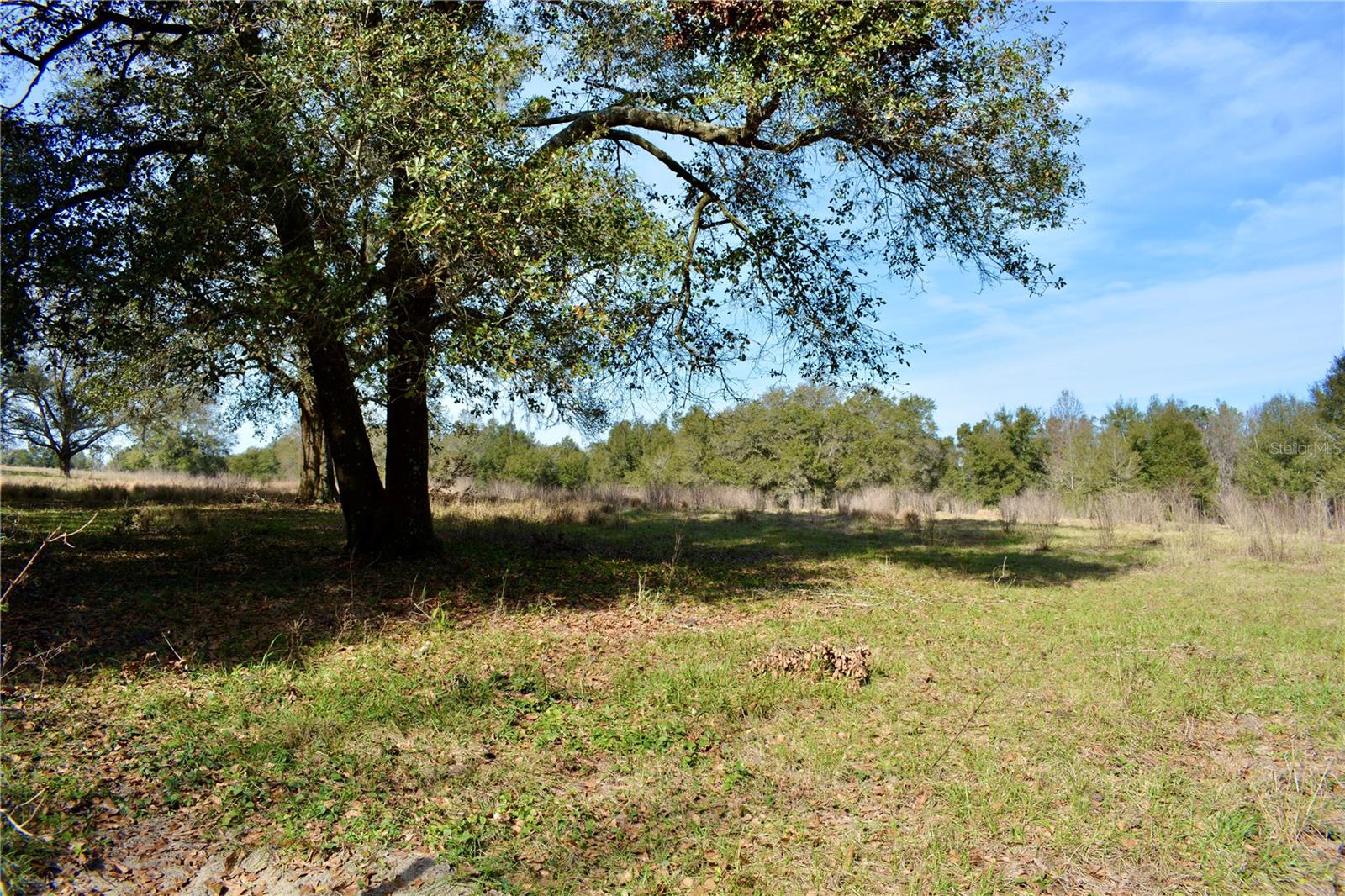 LAKEVIEW XINGS-PH 3 - Land