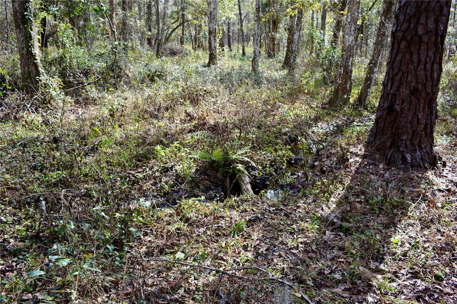 LAKEVIEW XINGS-PH 3 - Land