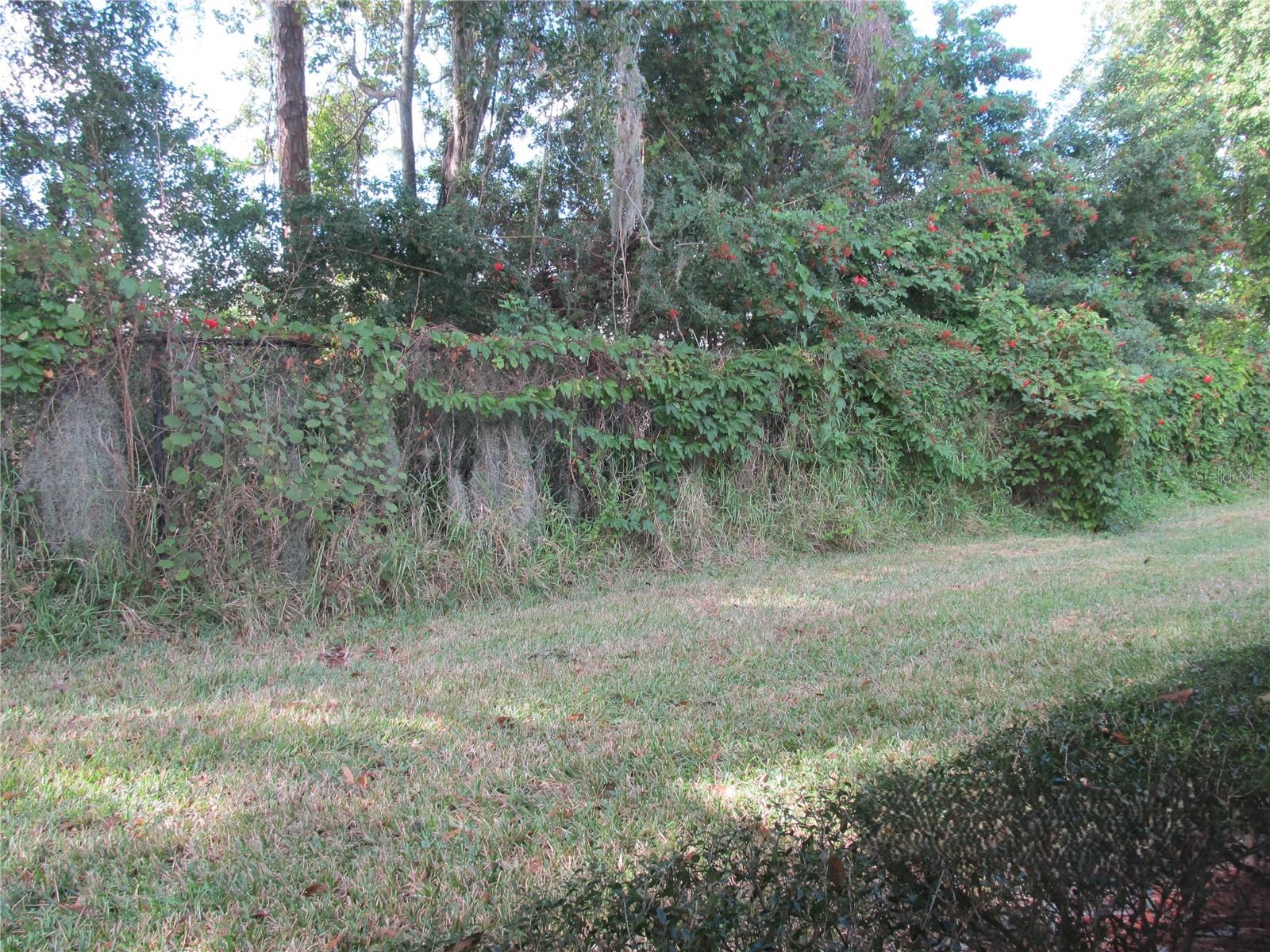 PALM-AIRE AT SARASOTA 10-A - Residential Lease