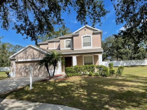 A home in VALRICO