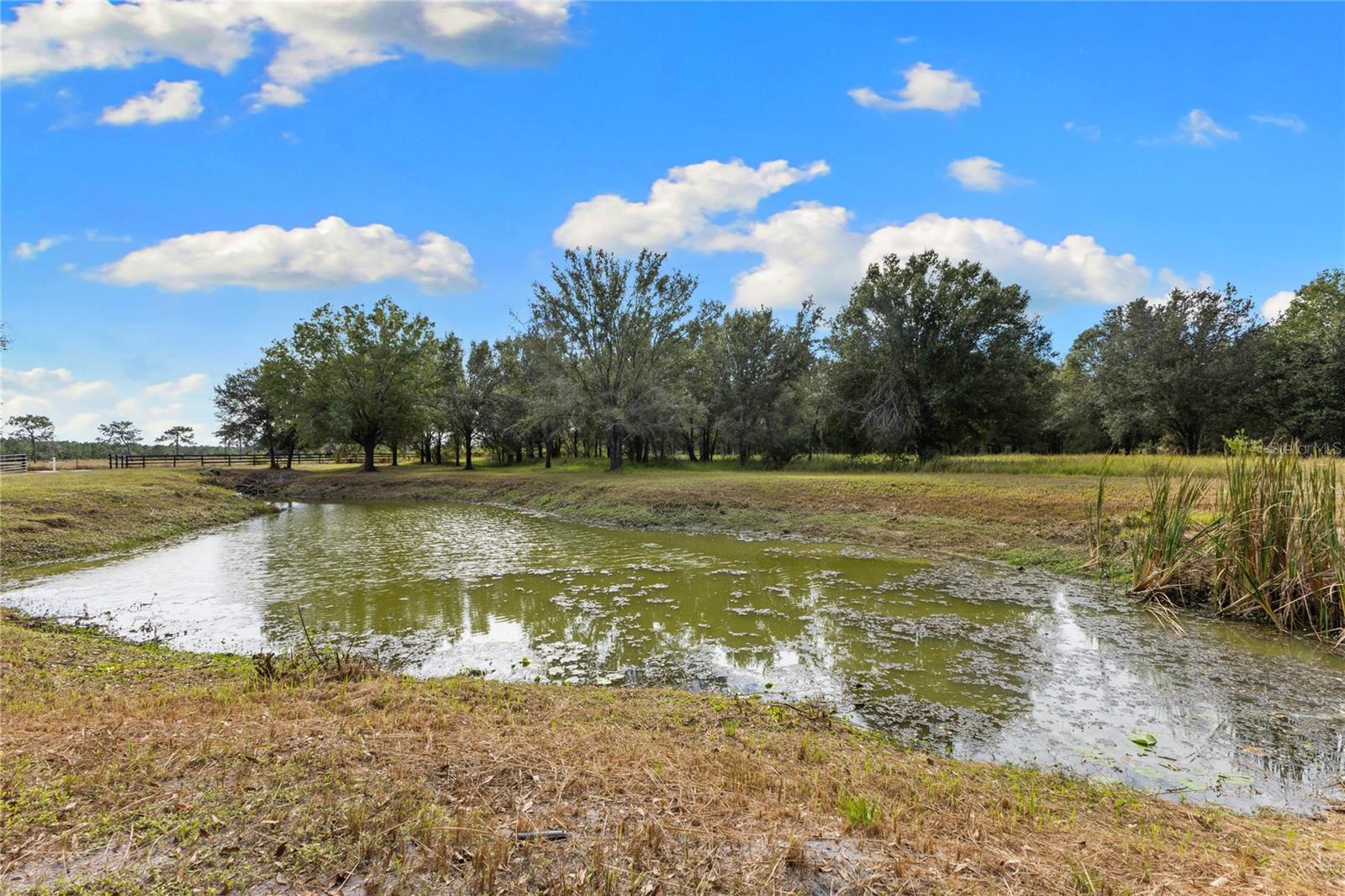 LAKESIDE RANCH - Residential