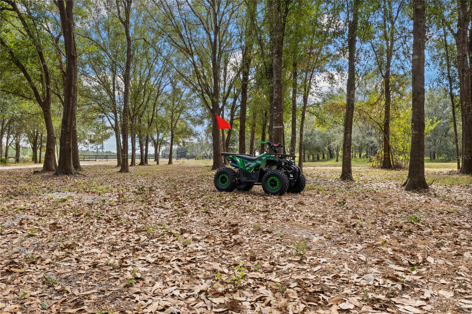 LAKESIDE RANCH - Residential