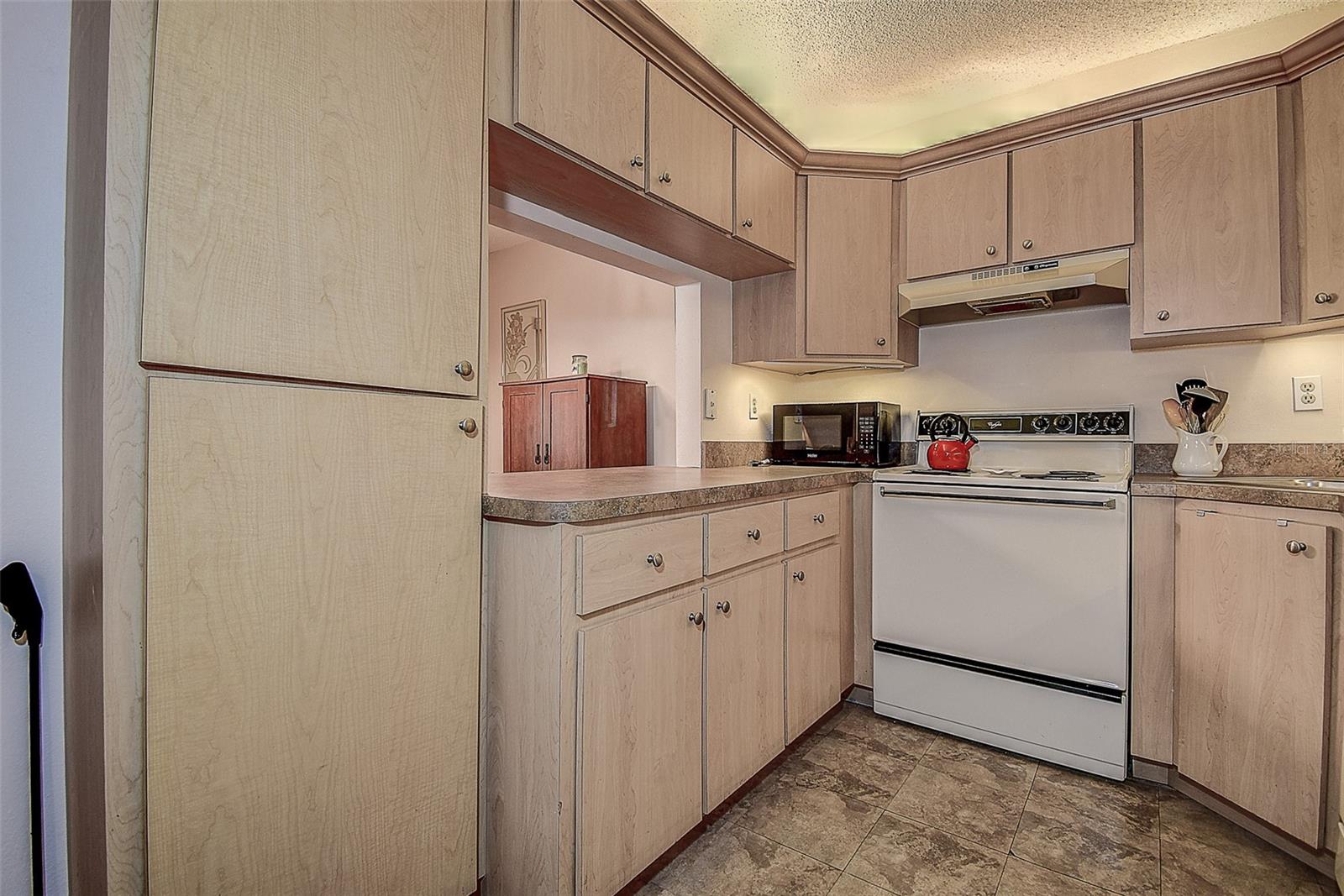 PINE RIDGE AT LAKE TARPON VILLAGE - Residential