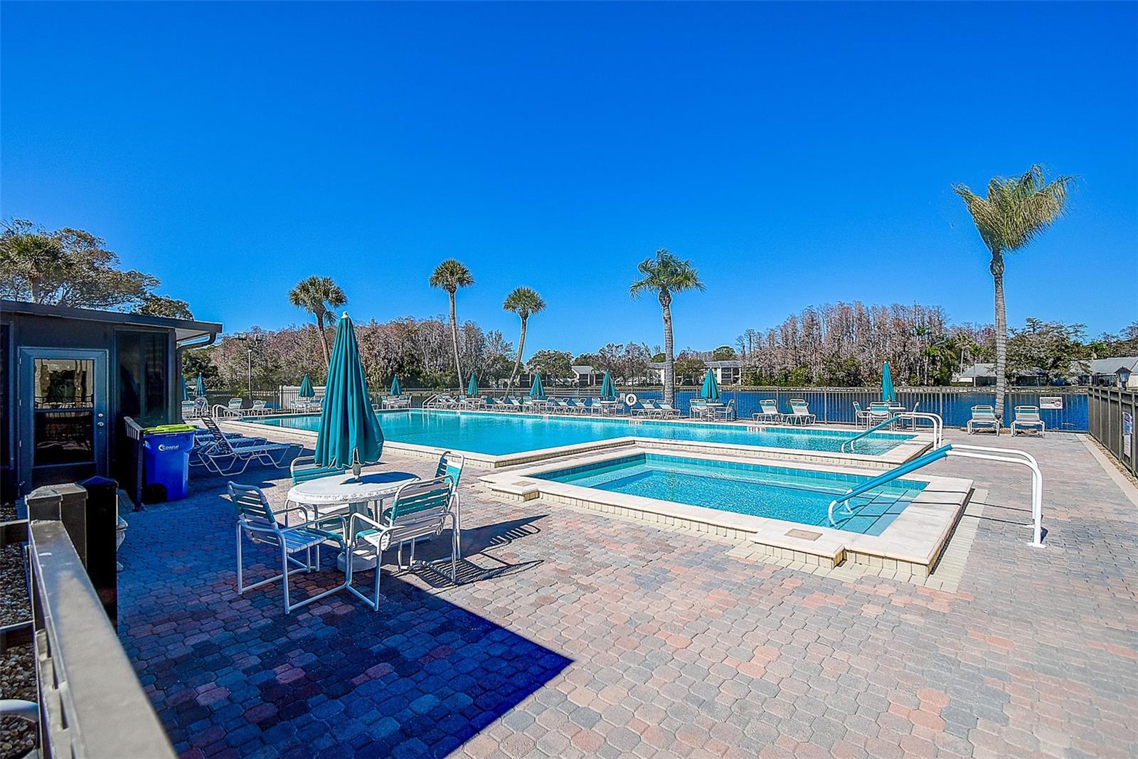 PINE RIDGE AT LAKE TARPON VILLAGE - Residential