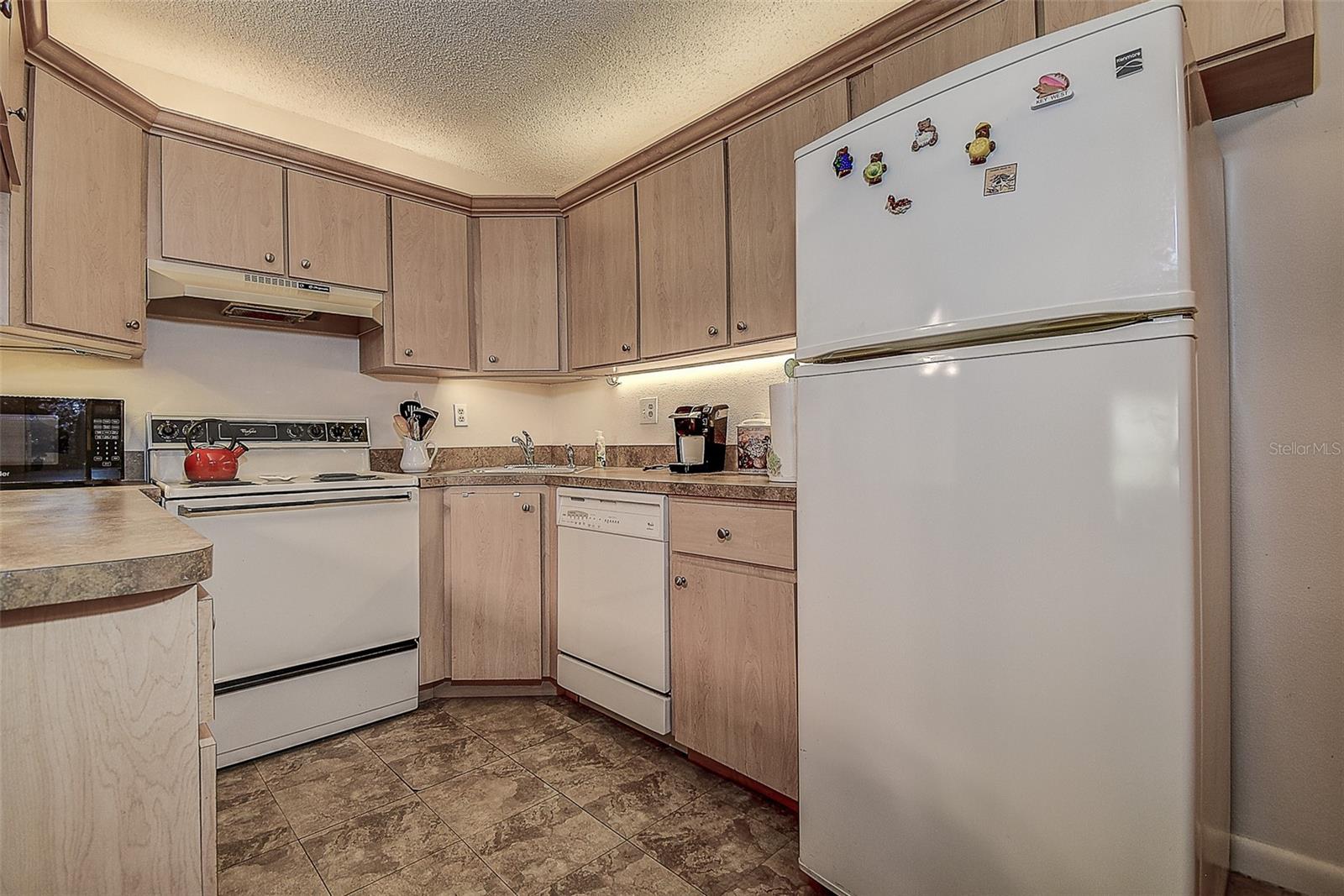 PINE RIDGE AT LAKE TARPON VILLAGE - Residential