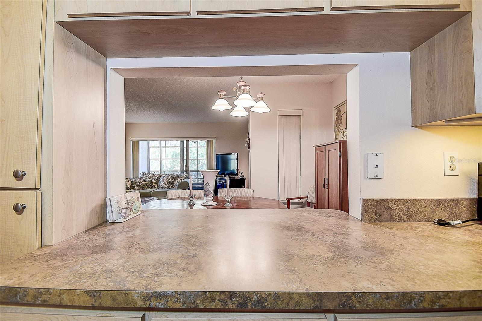 PINE RIDGE AT LAKE TARPON VILLAGE - Residential