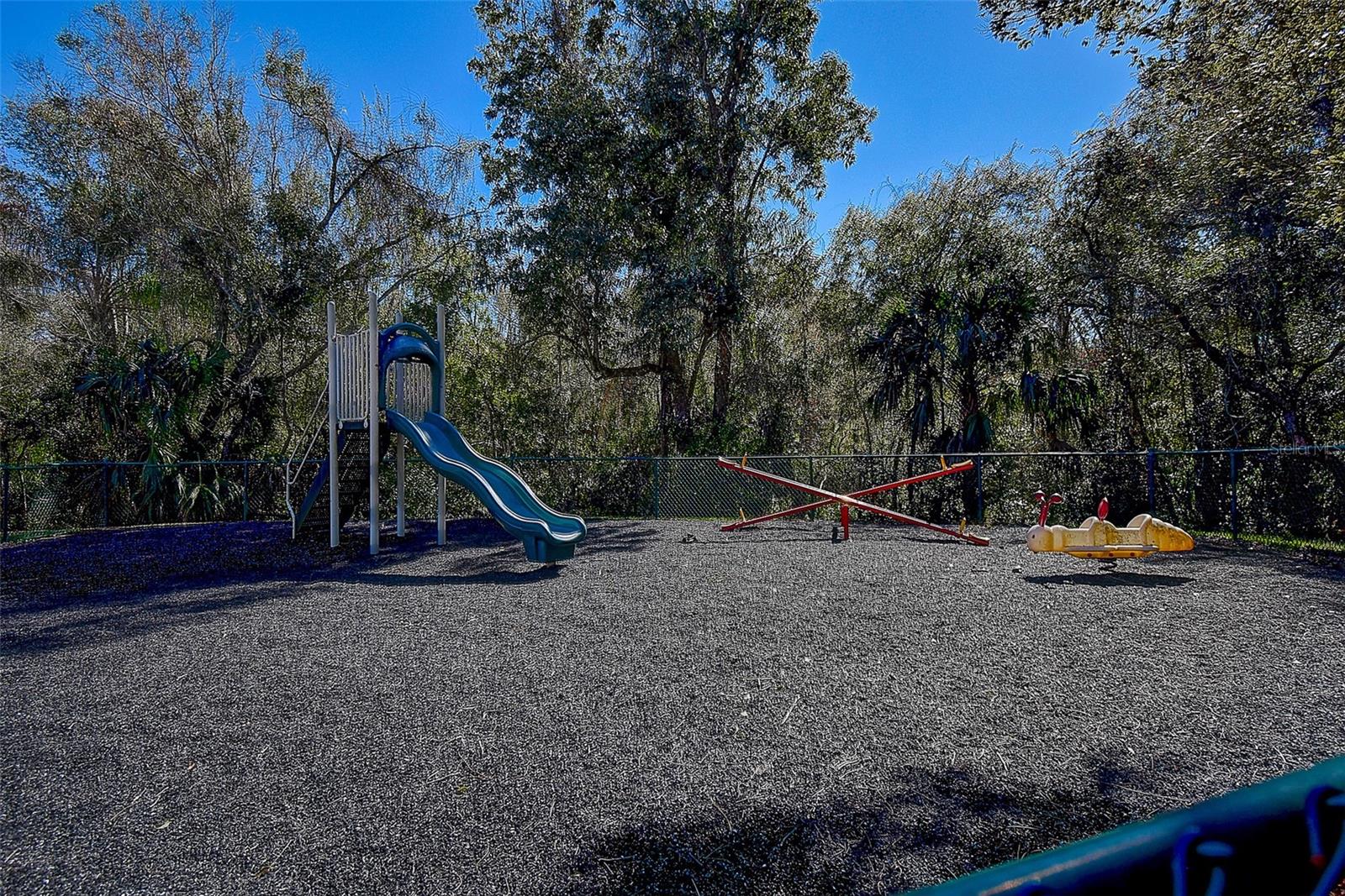 PINE RIDGE AT LAKE TARPON VILLAGE - Residential