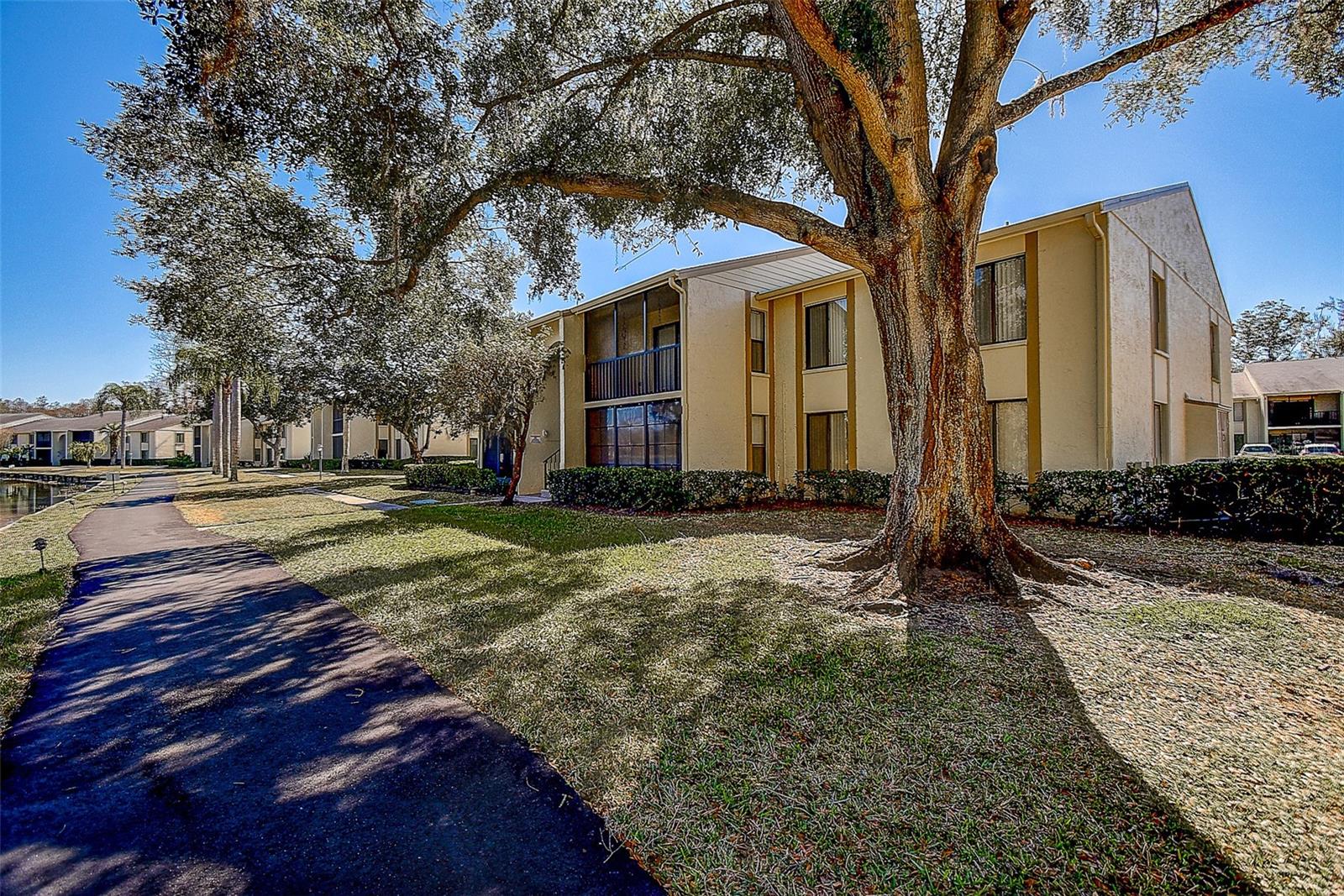 PINE RIDGE AT LAKE TARPON VILLAGE - Residential