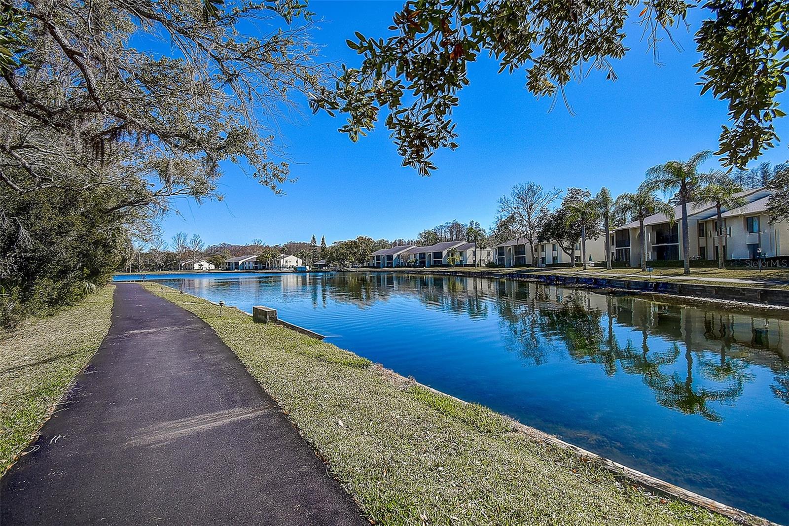 PINE RIDGE AT LAKE TARPON VILLAGE - Residential