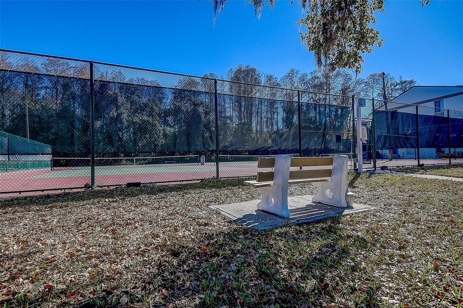 PINE RIDGE AT LAKE TARPON VILLAGE - Residential