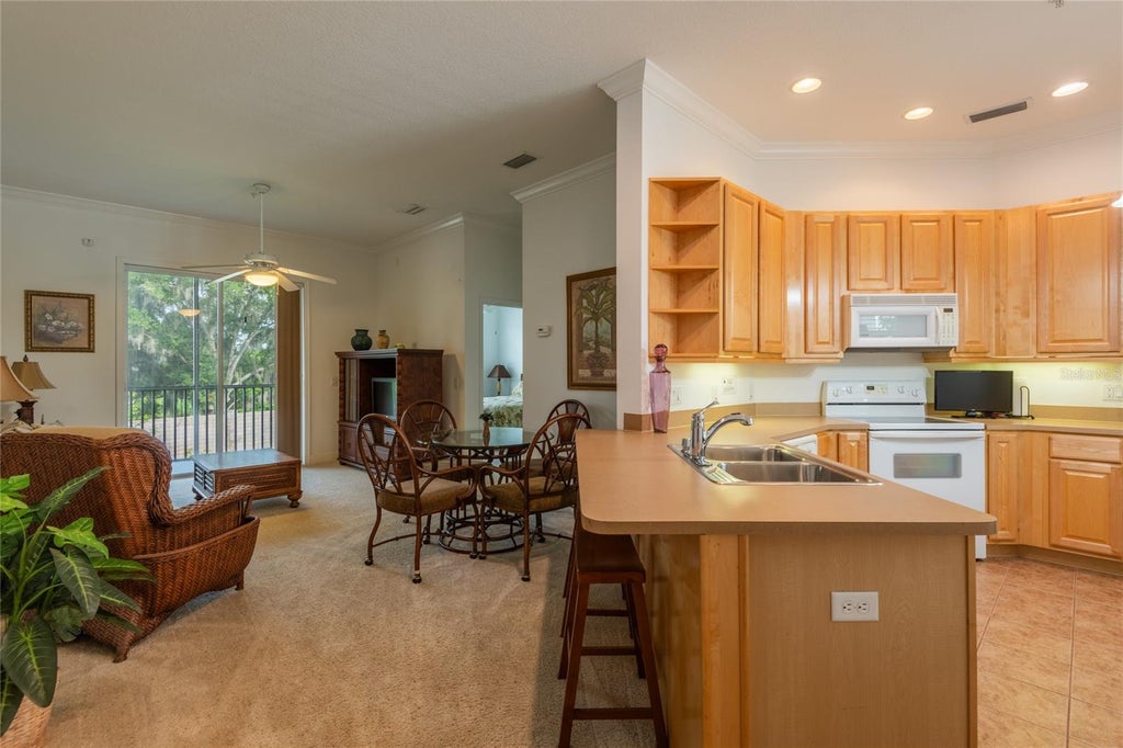 Photo of 6815 Dali Avenue #205, Land O Lakes, FL 34637 (MLS # TB8528438)