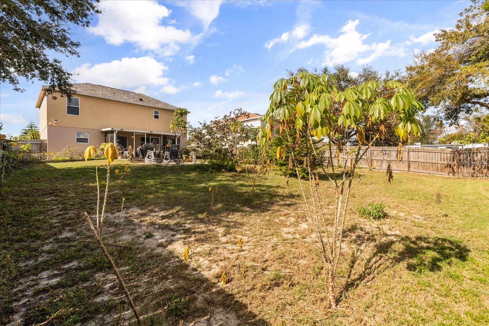 ROYAL HILLS - Residential