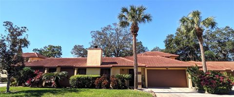 A home in ORLANDO