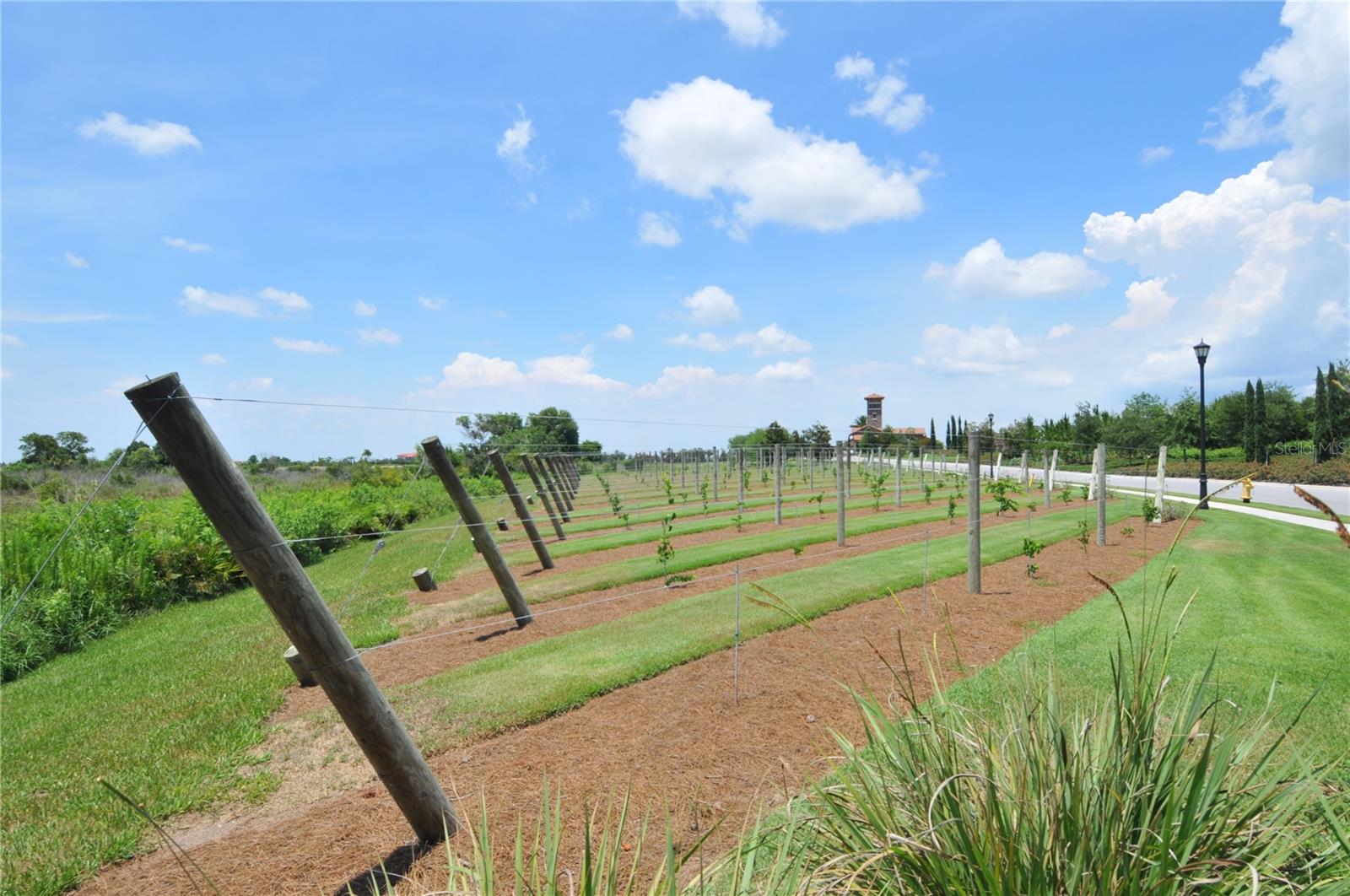 LAKE CLUB - Residential