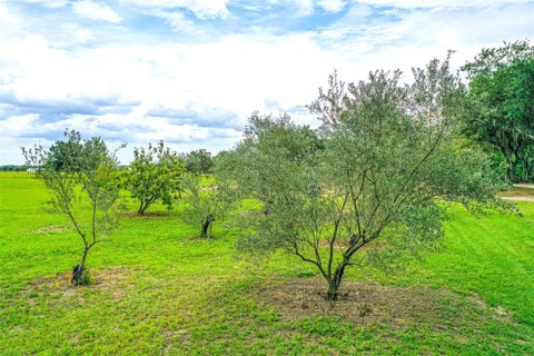 Tiny photo for 6850 Hunt Road, Groveland, FL 34736 (MLS # L4960791)
