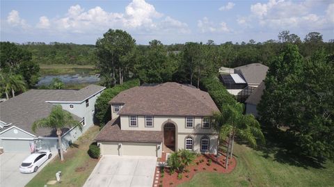 7334 NIGHT HERON DRIVE LAND O LAKES FL 34637