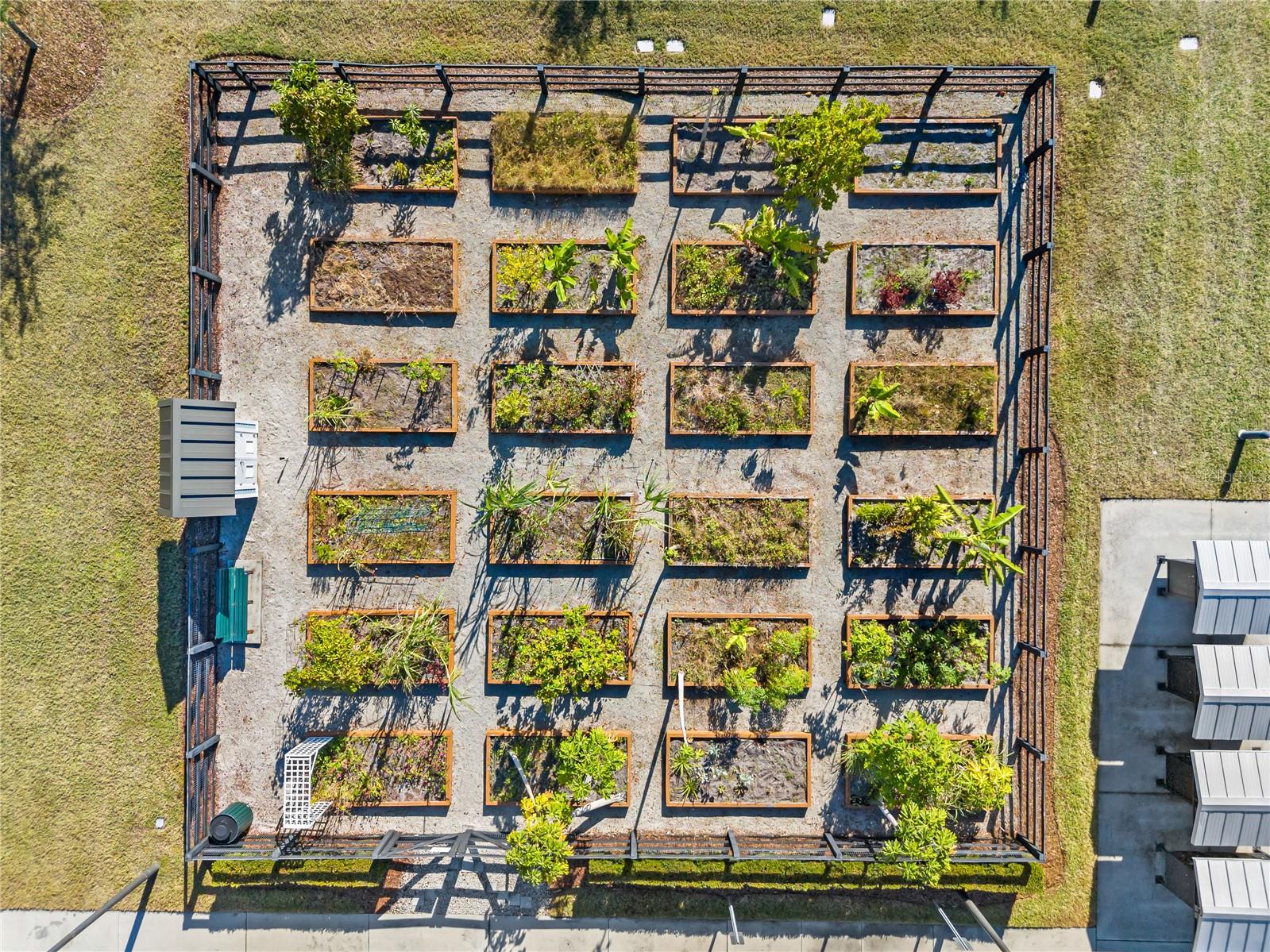 STOREY PK-PCL L PH 4 - Residential