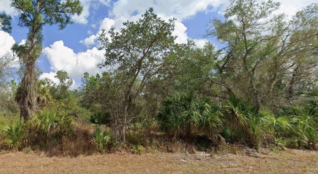Photo of 3132 Calexico Street, Port Charlotte, FL 33948 (MLS # OM733310)