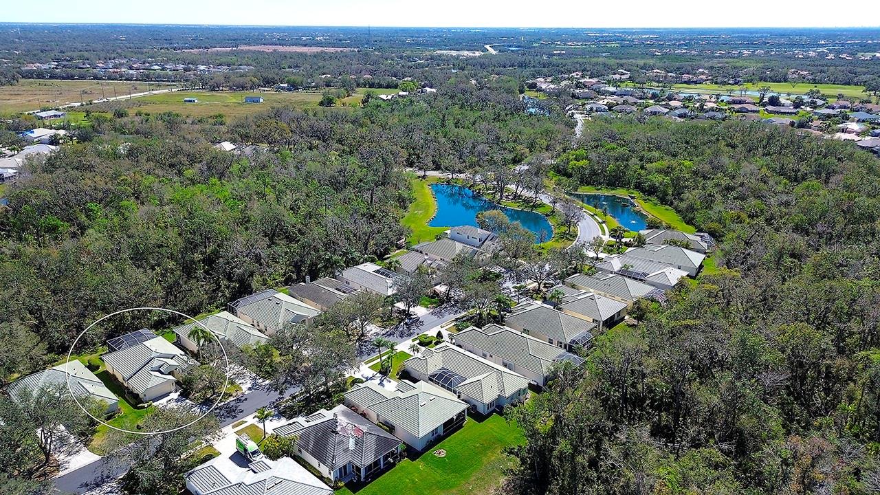 3116 WOODLAND FERN DRIVE