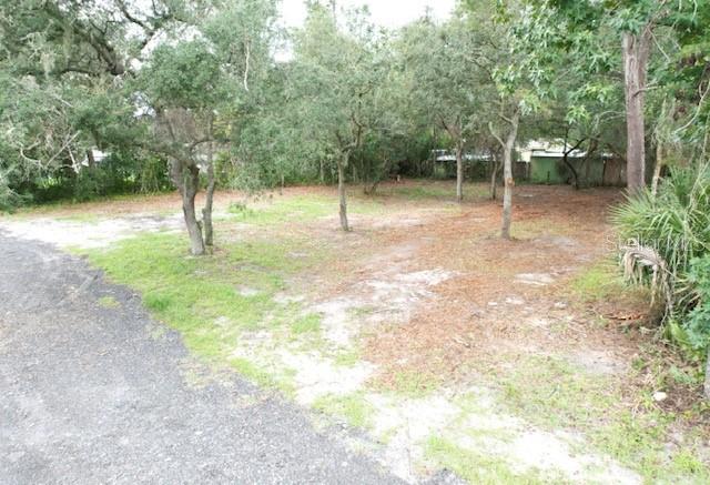 LUELLA AVENUE