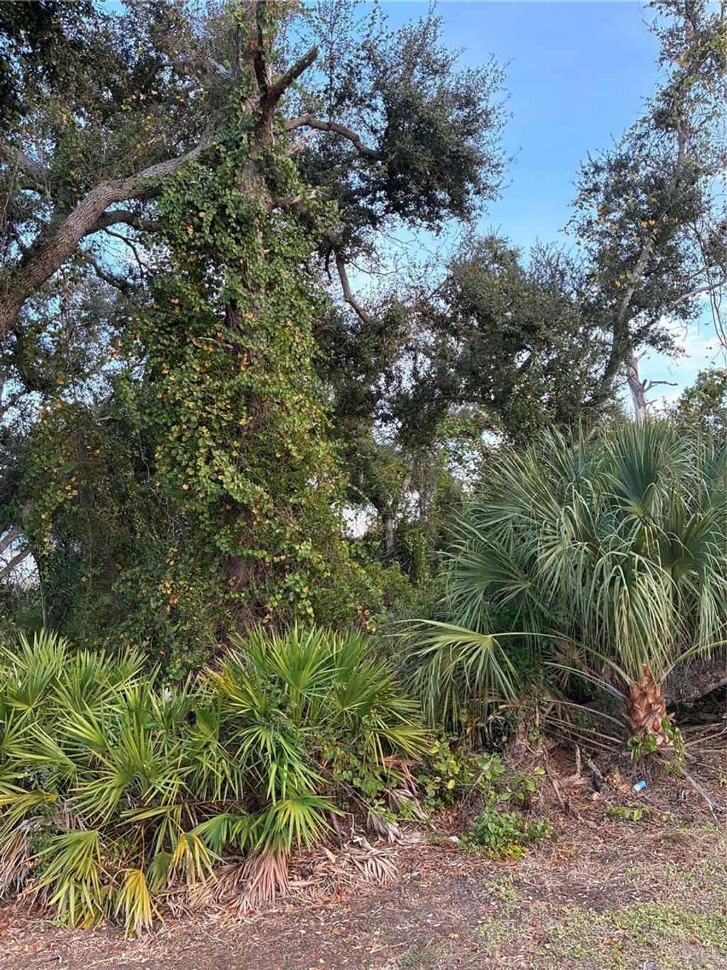 Photo of Mendavia Terrace, North Port, FL 34286 (MLS # N6141672)