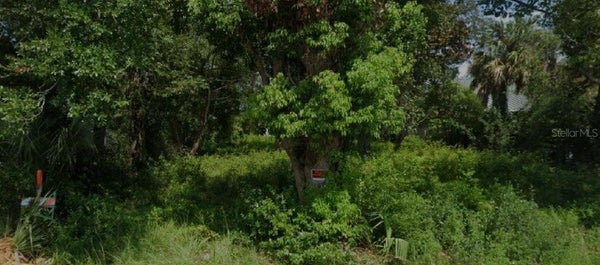 1504 DRAKE AVE, PANAMA CITY, FL 32405 - Image 84d726cd5b2676ec4ec2e42bce616224/3802007784