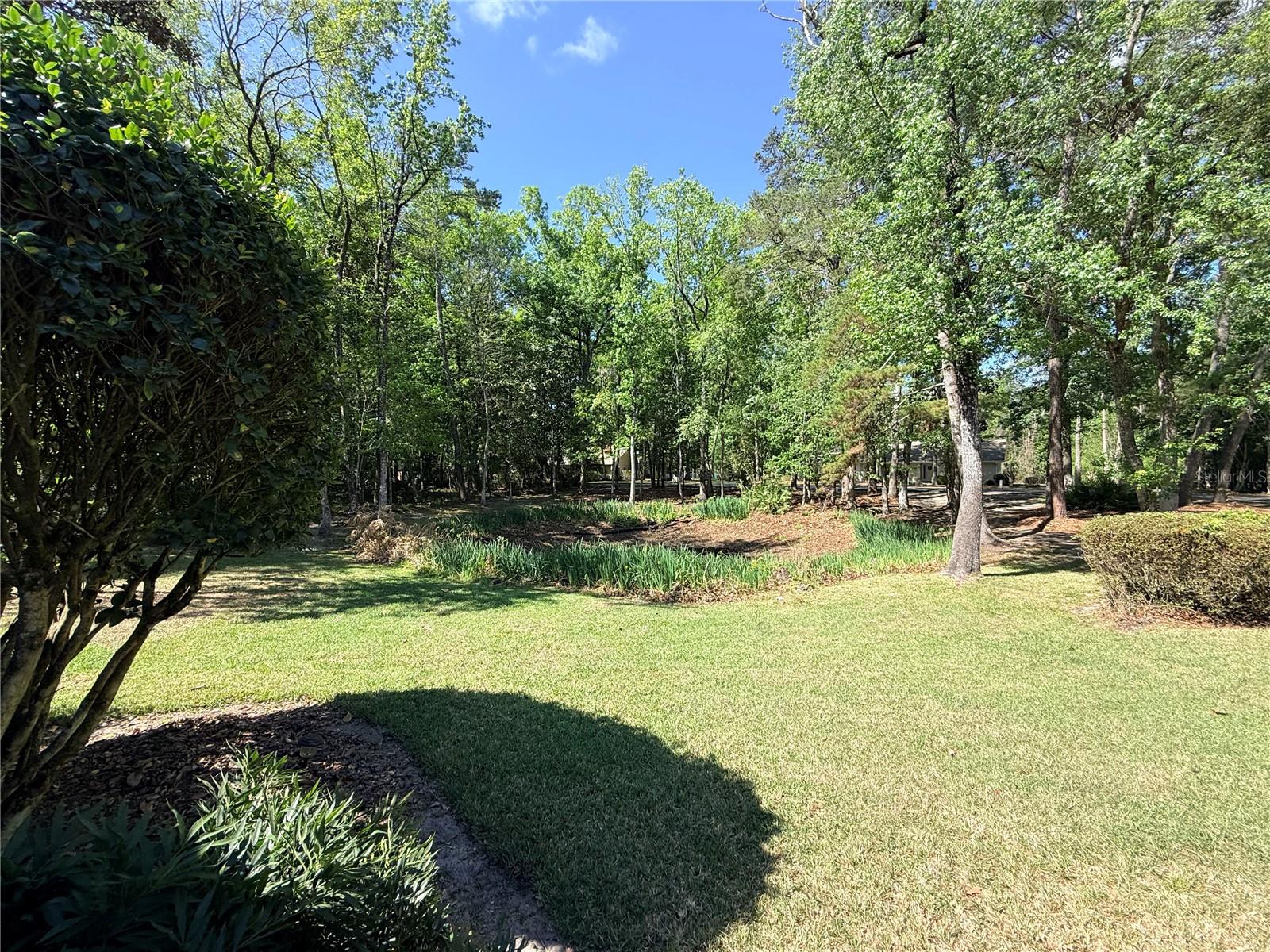 SPRING FOREST - Residential