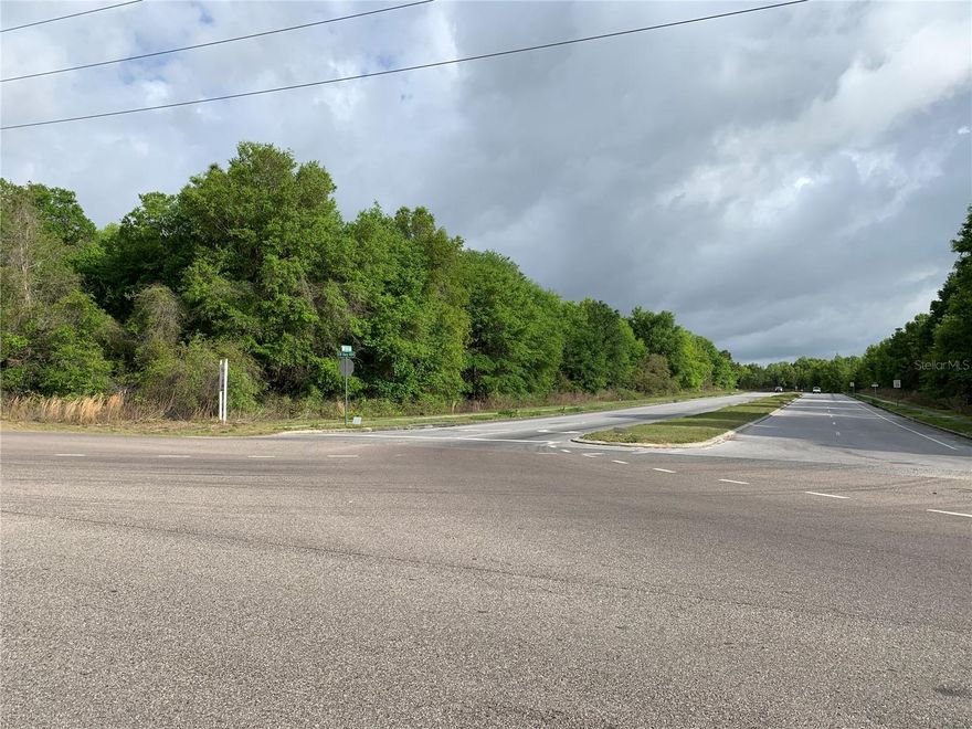 16.99 ac, outparcel of 1-3 acres can be created.  Property is Zoned B4, and the Marion County Parcel ID is 35341-001-19.  Hwy 484 and SW Hwy 200 combined traffic count is 27,800 cars each day (FDOT 2022).  Property is adjacent to Walmart and Bealls.  Seller Financing available.