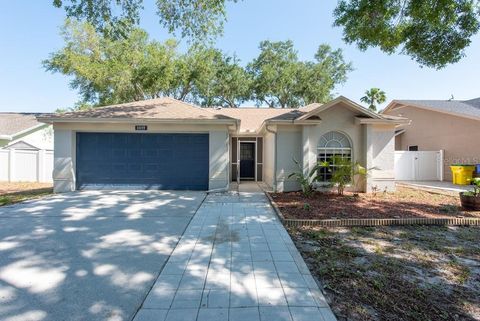 3039 SEAN WAY PALM HARBOR FL 34684