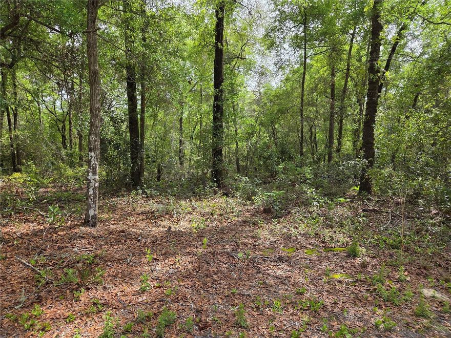 30 ADJACENT LOTS IN JEMLANDS SUBDIVISION @ $1,500/LOT! JEMLANDS is a charming, rural, residential subdivision in Chiefland, FL (Levy County), offering a peaceful, rural atmosphere with no restrictive covenants.  Each lot is about 0.09 acre and measures about 40' x 100'. All 30 lots (2.79 acres) are priced at $45k or can be purchased as two groups of 12 lots (1.08 acres) for $18k or 6 lots (0.54 acres) for $9k. Located near the Suwannee River, this area features single family and manufactured homes. It offers easy access to outdoor activities while being close to local commerce. Beautiful oak and pine trees on a dirt road.   Come out to the country life and have some peace and quiet. High and dry with no HOA and no flood zone! Please contact listing agent with questions.