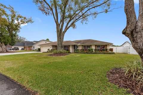 A home in LAND O LAKES