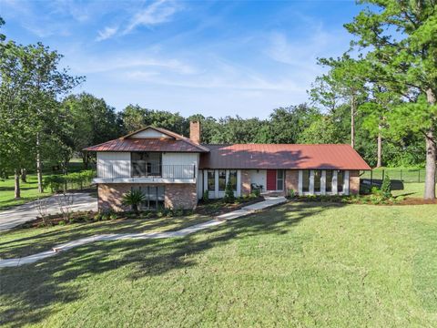 Photo of 317 Forest Trail, Oviedo, FL 32765 (MLS # O6360654)