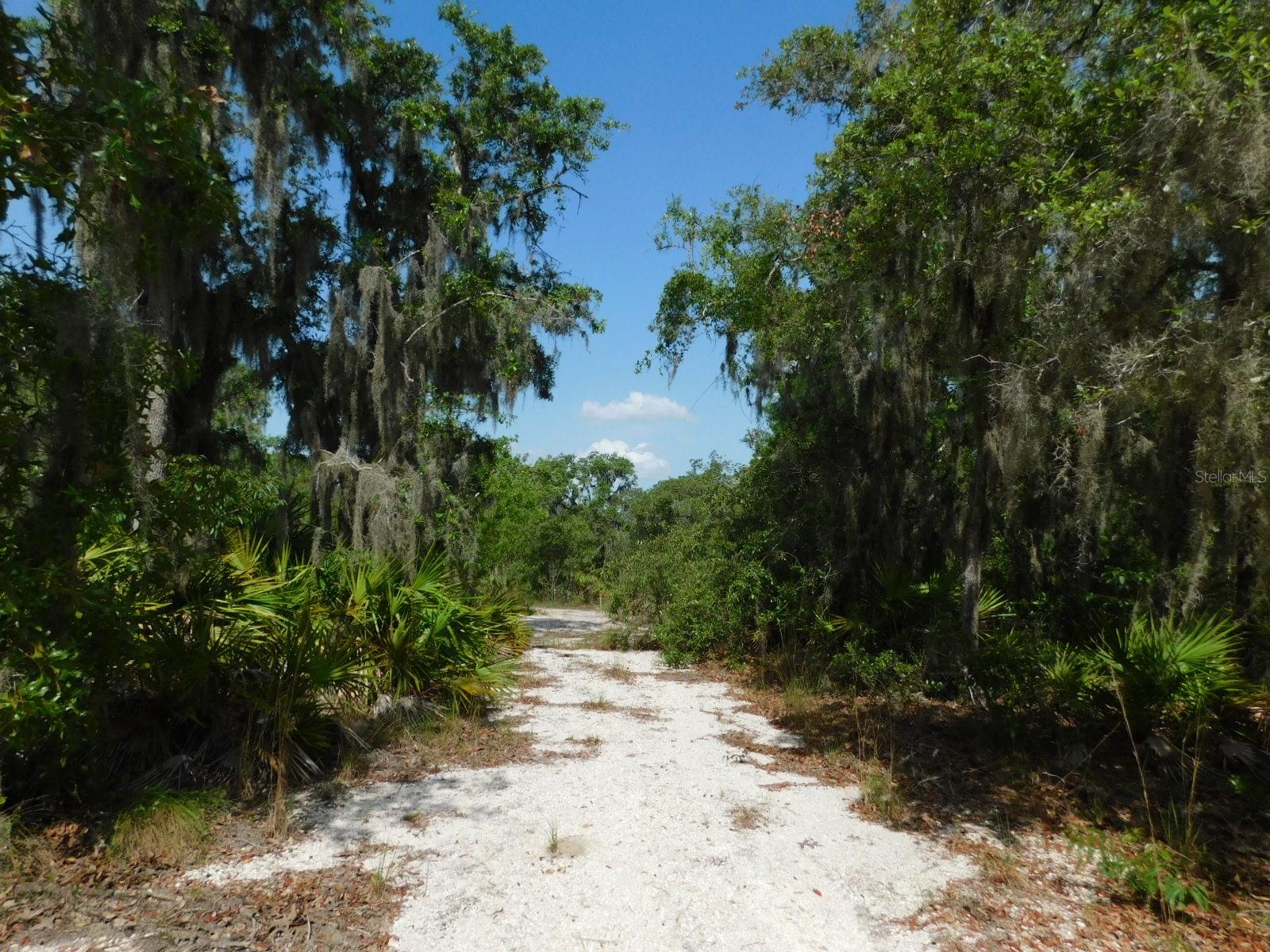 LAKE & HILLS COUNTRY ESTATES - Land