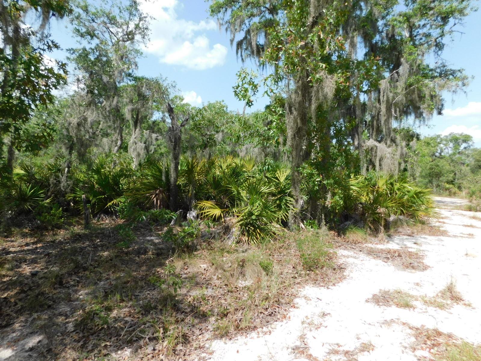 LAKE & HILLS COUNTRY ESTATES - Land