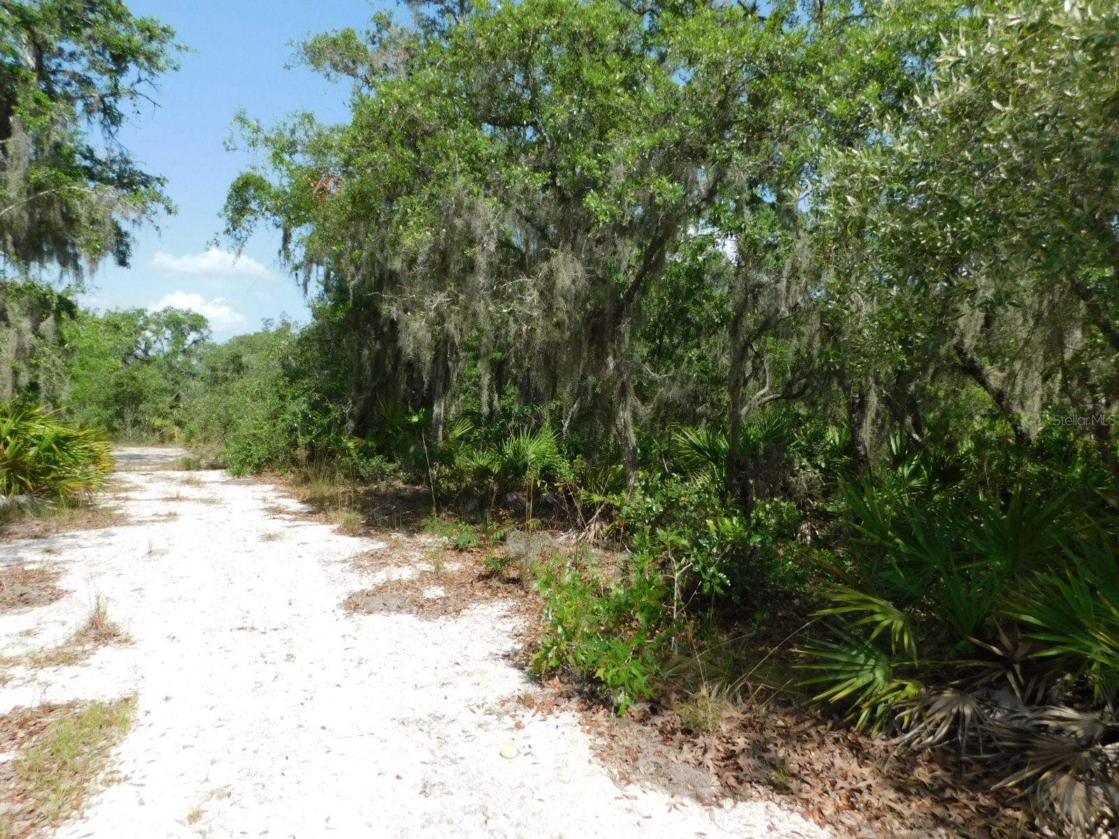 Gorgeous 5+ acre Lakefront property located on Walk in Water Lake. Some clearing has been done, a driveway, and 300 ft deep well. Ready for your site built home. Walk in Water lake is the largest lake in Polk County with great fishing. Don't miss out on this amazing opportunity! Buyer is advised to obtain survey to determine exact location of property lines and to verify with county any and all information regarding permitting. Being Sold AS IS.