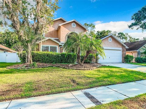 A home in TAMPA