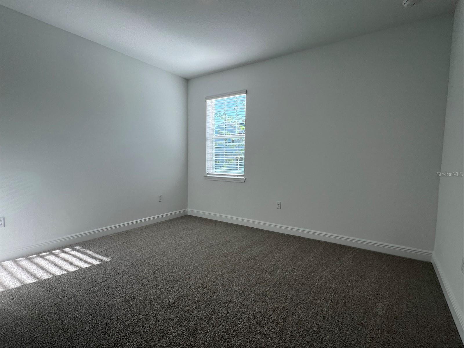 HILLS OF MINNEOLA - Residential