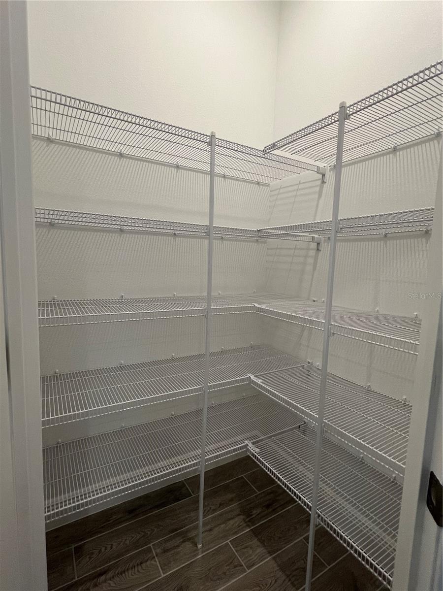 HILLS OF MINNEOLA - Residential